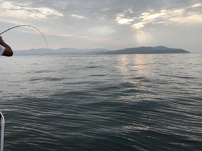 フィシングボートAir(エアー) 釣果