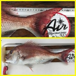 フィシングボートAir(エアー) 釣果