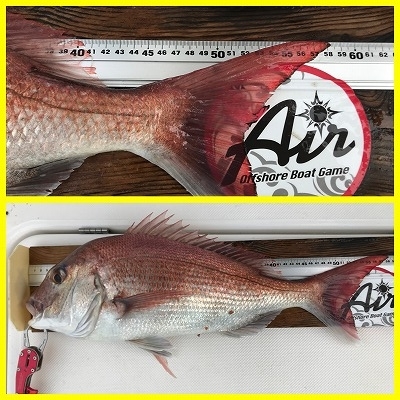 フィシングボートAir(エアー) 釣果