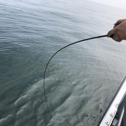 フィシングボートAir(エアー) 釣果