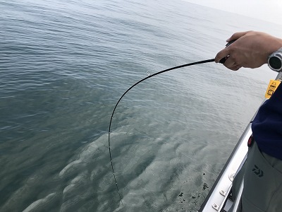 フィシングボートAir(エアー) 釣果