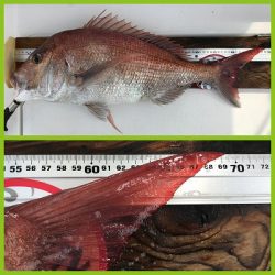 フィシングボートAir(エアー) 釣果