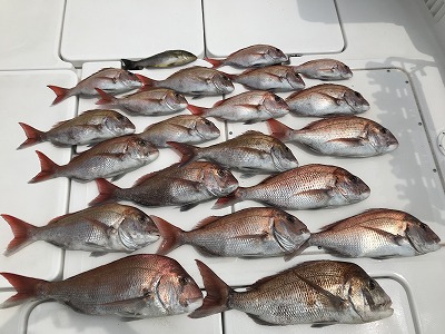 フィシングボートAir(エアー) 釣果