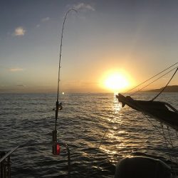 フィシングボートAir(エアー) 釣果