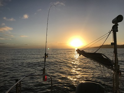 フィシングボートAir(エアー) 釣果