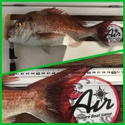 フィシングボートAir(エアー) 釣果