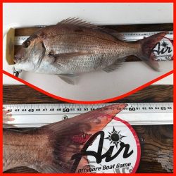 フィシングボートAir(エアー) 釣果