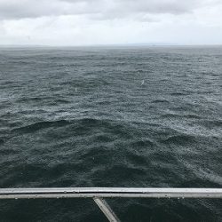 フィシングボートAir(エアー) 釣果