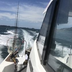 フィシングボートAir(エアー) 釣果