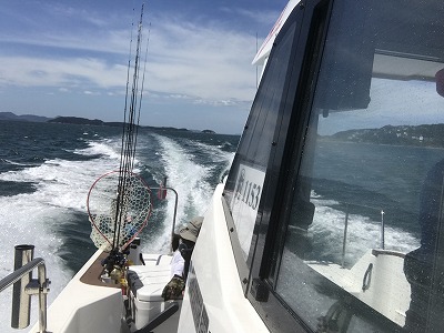 フィシングボートAir(エアー) 釣果