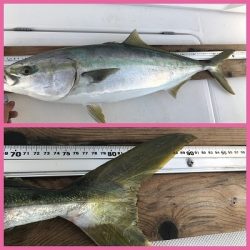 フィシングボートAir(エアー) 釣果