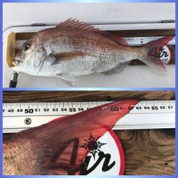 フィシングボートAir(エアー) 釣果