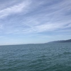 フィシングボートAir(エアー) 釣果