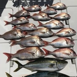 フィシングボートAir(エアー) 釣果