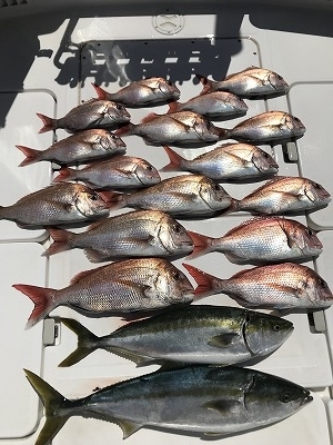 フィシングボートAir(エアー) 釣果