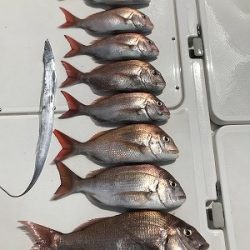 フィシングボートAir(エアー) 釣果