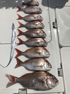 フィシングボートAir(エアー) 釣果