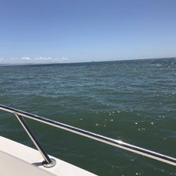 フィシングボートAir(エアー) 釣果