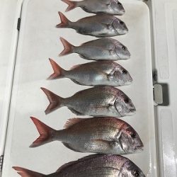 フィシングボートAir(エアー) 釣果