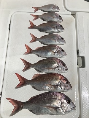 フィシングボートAir(エアー) 釣果