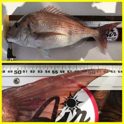 フィシングボートAir(エアー) 釣果