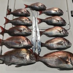 フィシングボートAir(エアー) 釣果