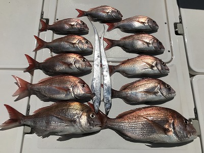 フィシングボートAir(エアー) 釣果