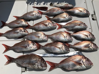 フィシングボートAir(エアー) 釣果