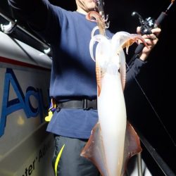 Aquanaut(アクアノート) 釣果