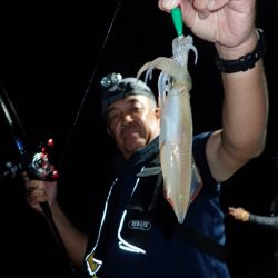 Aquanaut(アクアノート) 釣果