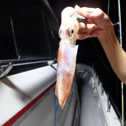 Aquanaut(アクアノート) 釣果