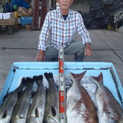 久六釣船 釣果