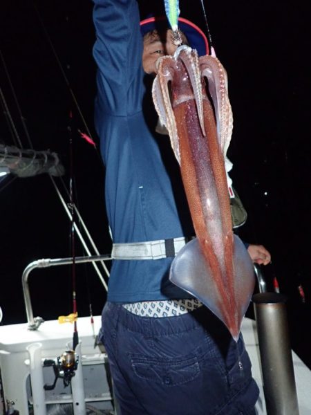 Aquanaut(アクアノート) 釣果