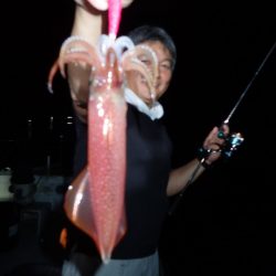 Aquanaut（アクアノート） 釣果