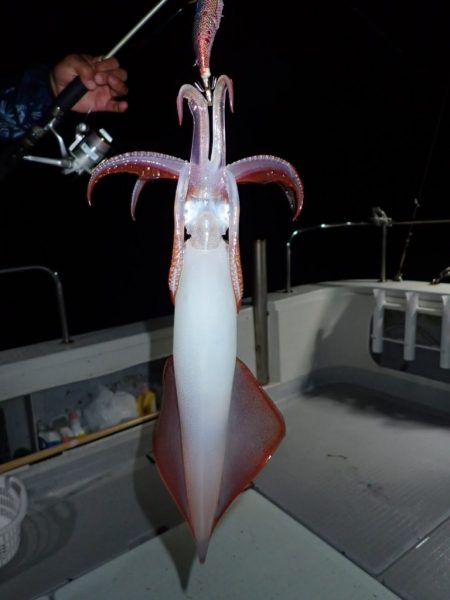 Aquanaut（アクアノート） 釣果