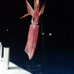 Aquanaut（アクアノート） 釣果