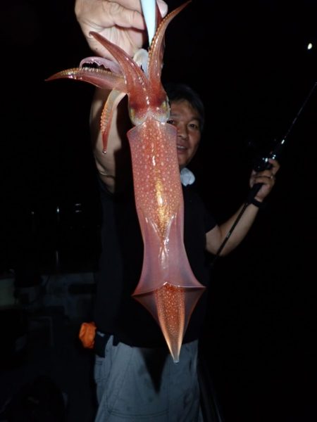 Aquanaut（アクアノート） 釣果