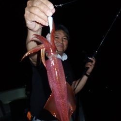 Aquanaut（アクアノート） 釣果