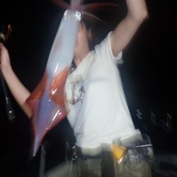 Aquanaut（アクアノート） 釣果