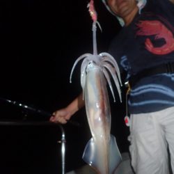 Aquanaut（アクアノート） 釣果