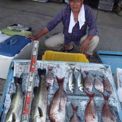久六釣船 釣果
