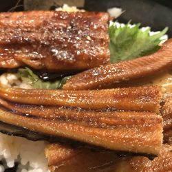 夕方スタートの涼しいアナゴ釣り【飛利浦氏連載 vol.3】