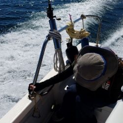 Magic(マジック) 釣果