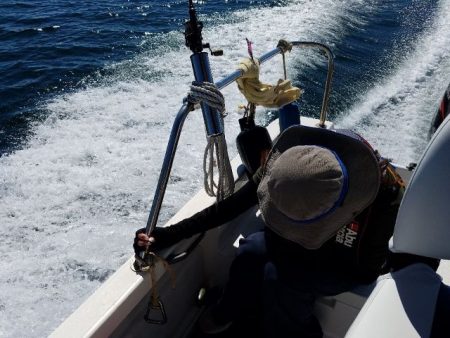 Magic(マジック) 釣果