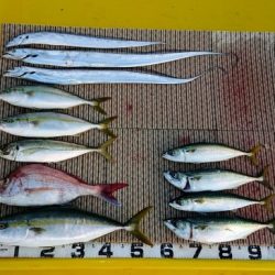 火遠理丸（ほおりまる） 釣果