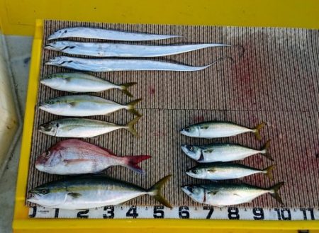 火遠理丸（ほおりまる） 釣果