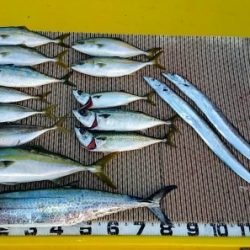 火遠理丸（ほおりまる） 釣果