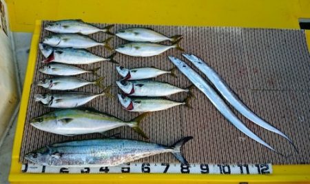 火遠理丸（ほおりまる） 釣果