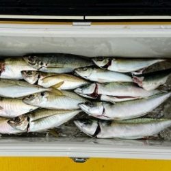 火遠理丸（ほおりまる） 釣果