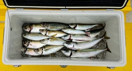 火遠理丸（ほおりまる） 釣果